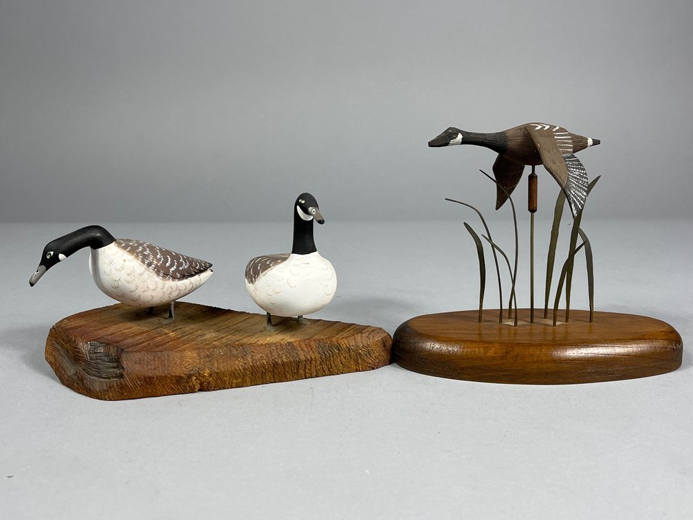 L V Pellelier/ Calvin Brown Canada Geese