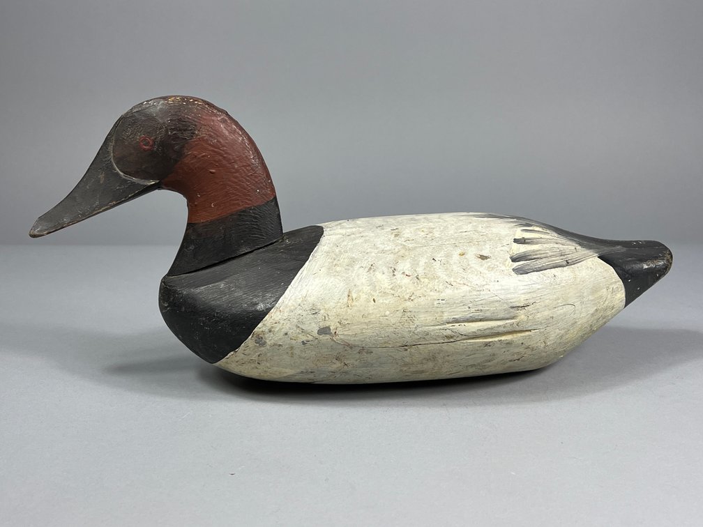 Rock Hall, MD, Canvasback