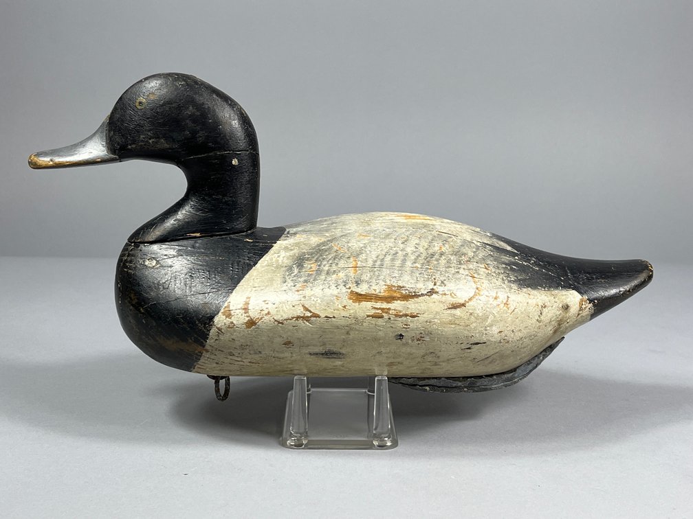 Bob McGaw, Bluebill, Havre de Grace, MD