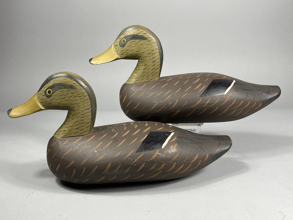Jess Urie, Black Duck Pair, Rock Hall, MD