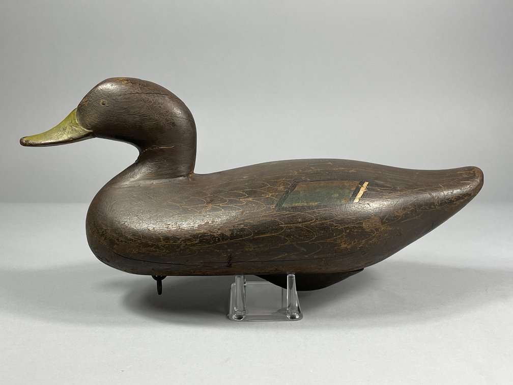 R Madison Mitchell, Black Duck, Havre de Grace, MD