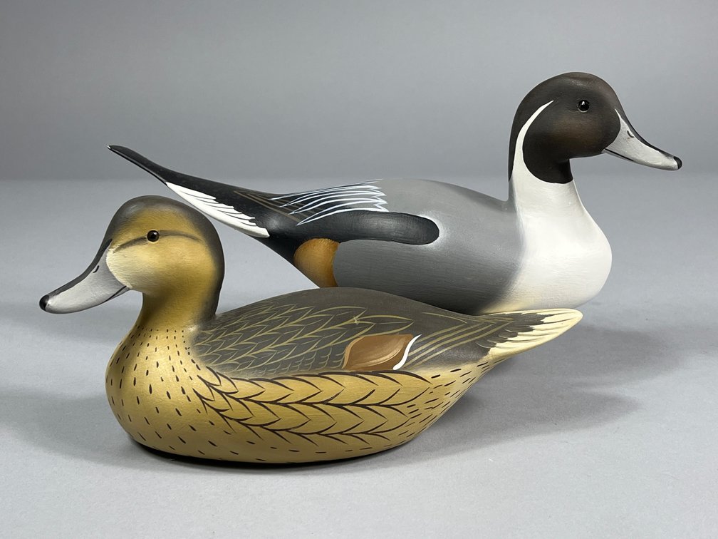Allan Schauber, Pintail Pair, Chestertown, MD