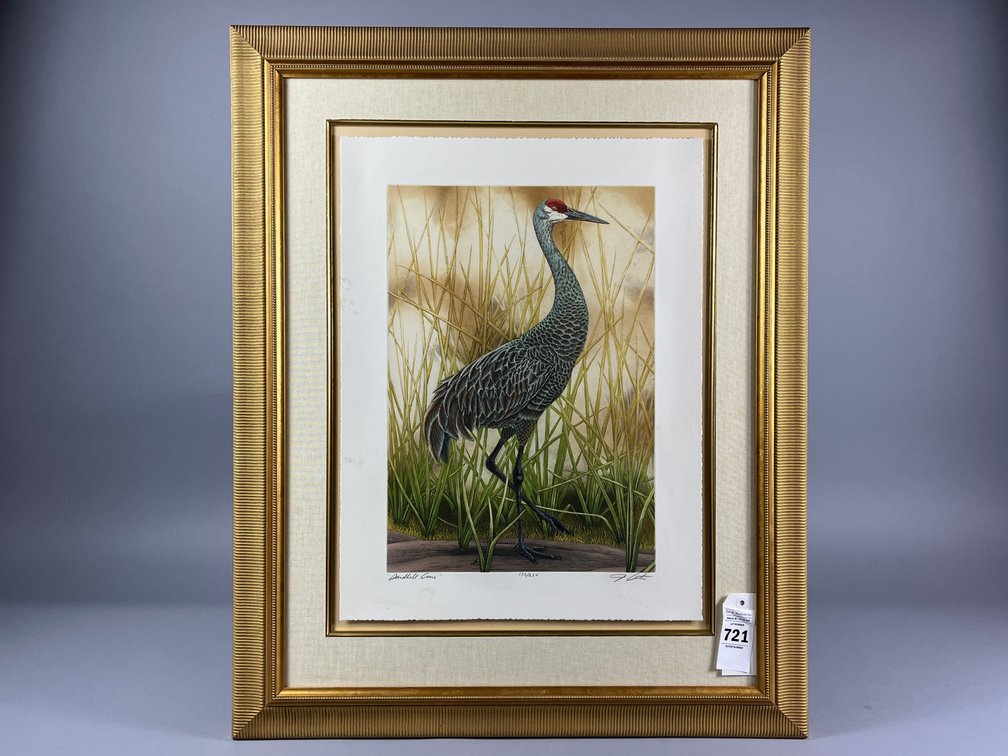 Sandhill Crane Print 