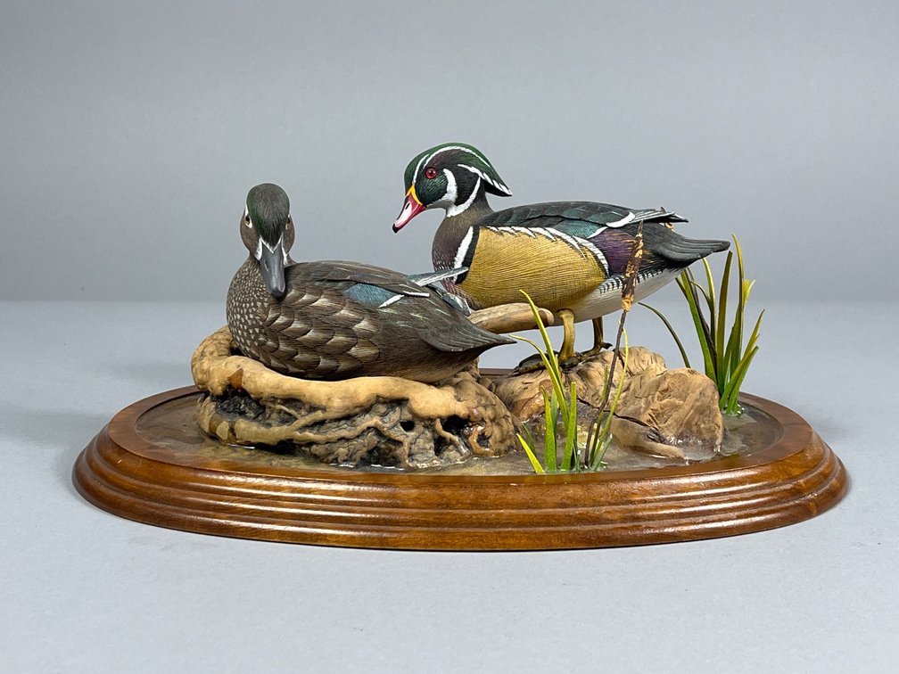 Larry Tawes Jr, Wood Ducks, Crisfield, MD