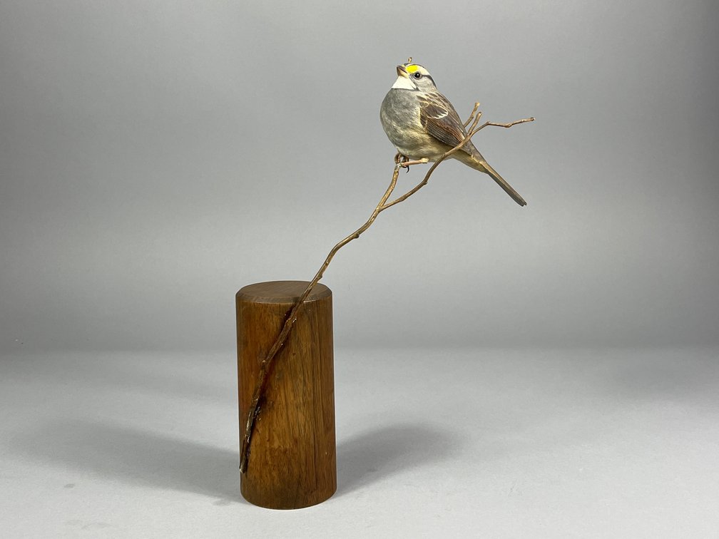 Pete Zalutec, Nuthatch