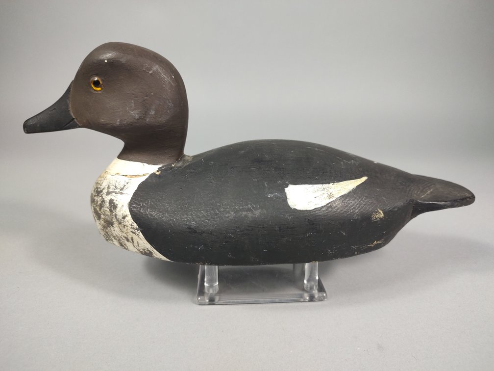 Attd to Ray Rombough, Goldeneye Hen
