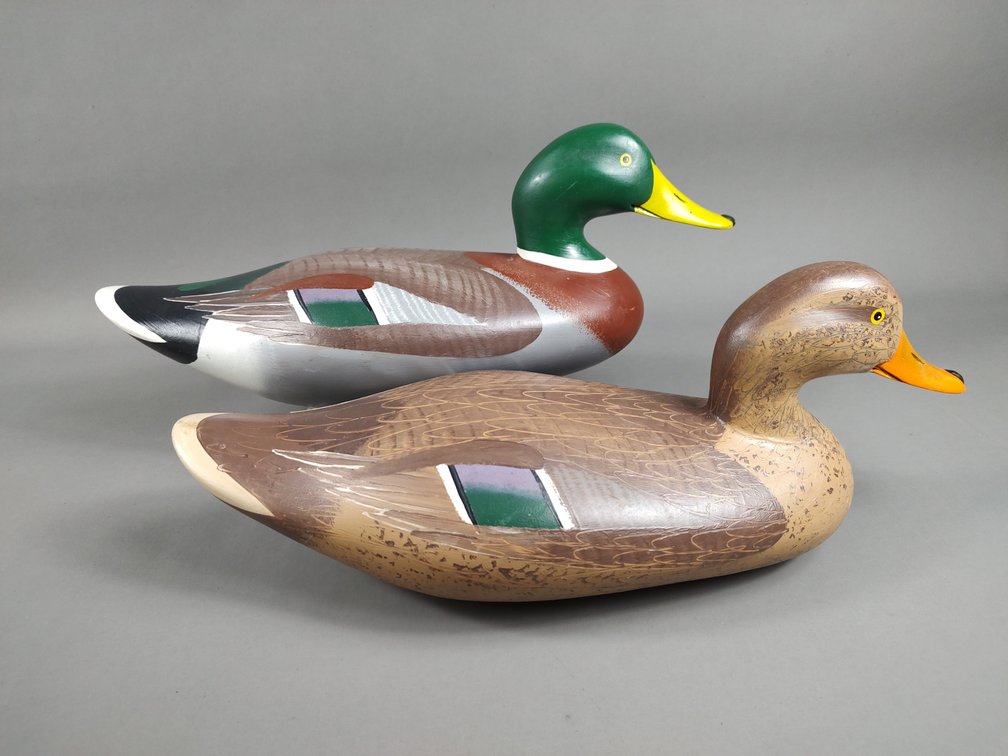 Madison Mitchell Mallard Pair, Havre de Grace, MD 