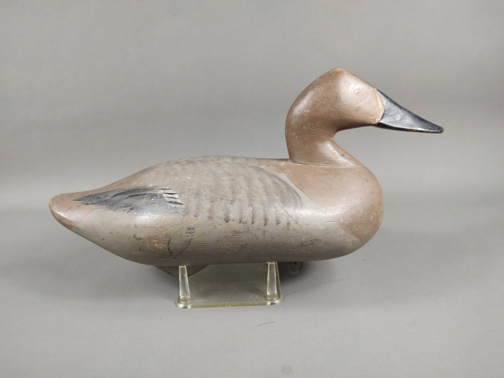 Madison Mitchell Canvasback, Havre de Grace, MD 