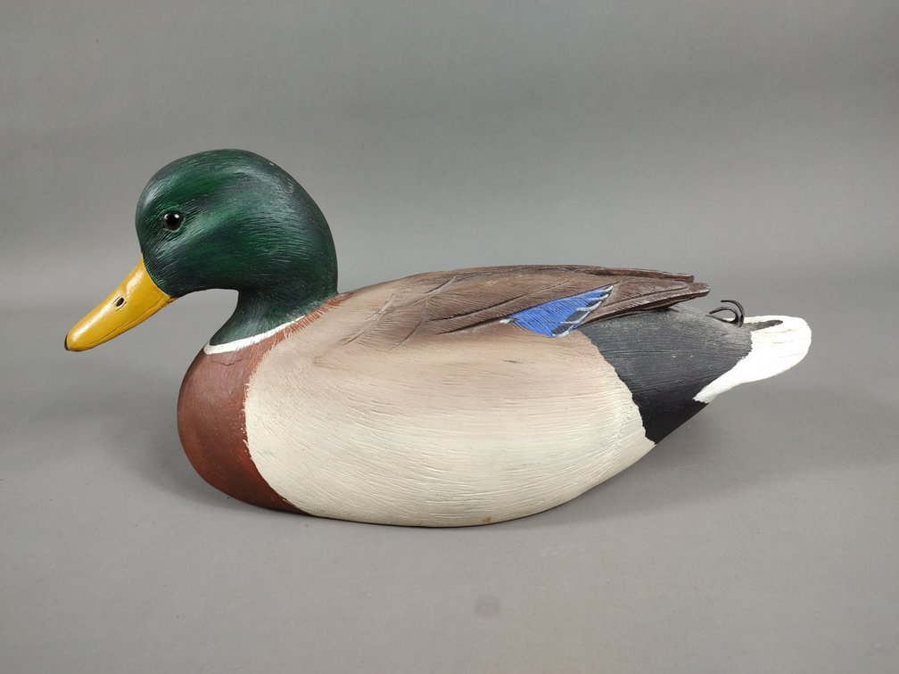 Ed Cassedy Mallard, Monkton, MD