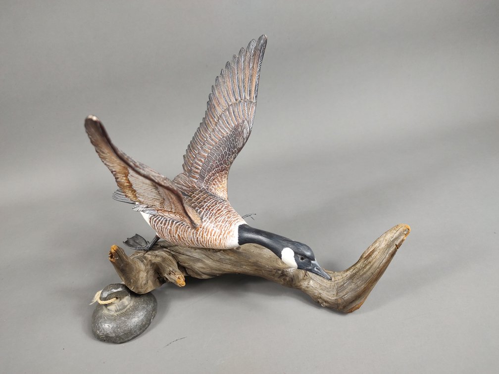 H. Vreeland Flying Mini Canada