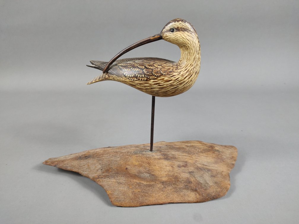 William Johnson Marbled Godwit Mini