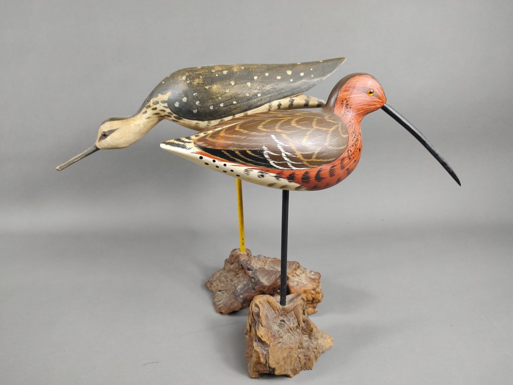 Green & Kirkpatrick Shorebirds 