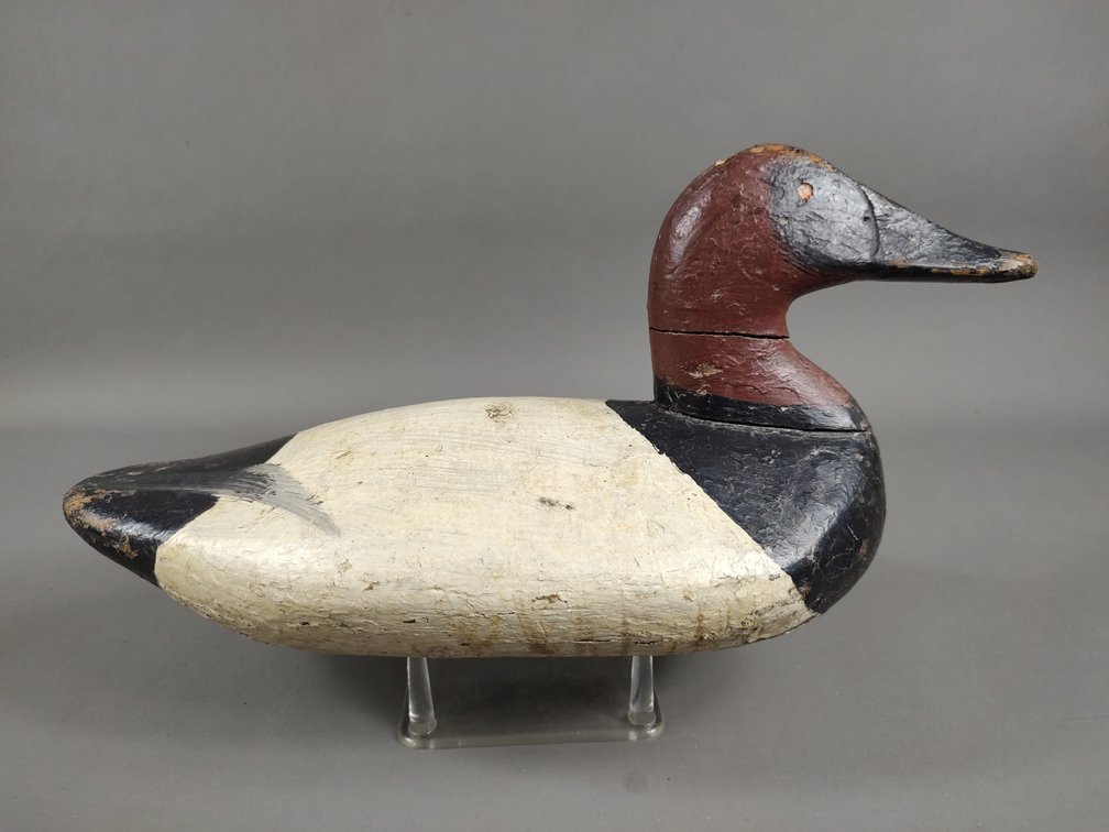 James Holly Canvasback, Havre de Grace, MD