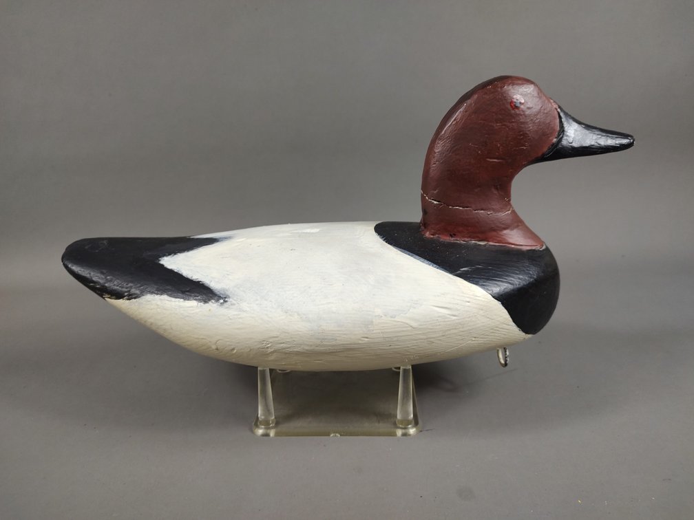 August Heinfeld Canvasback, Rock Hall, MD