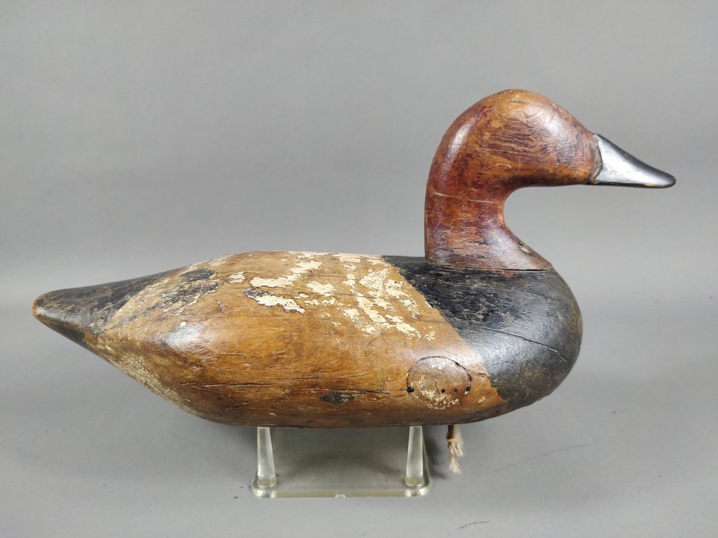 Bob McGaw Canvasback, Havre de Grace, MD