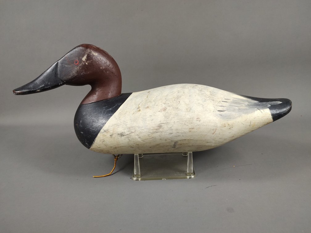 Charles Bryan Canvasback, Middle River, MD