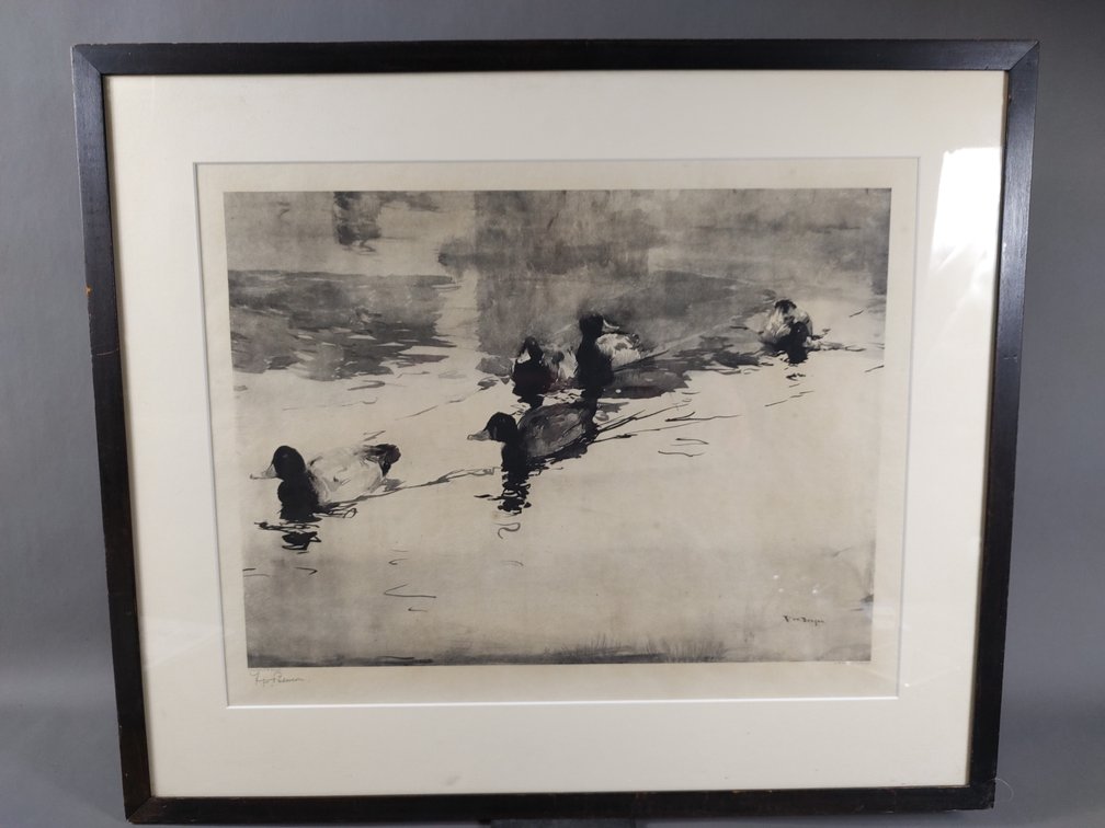 Duck Print by F.W. Benson