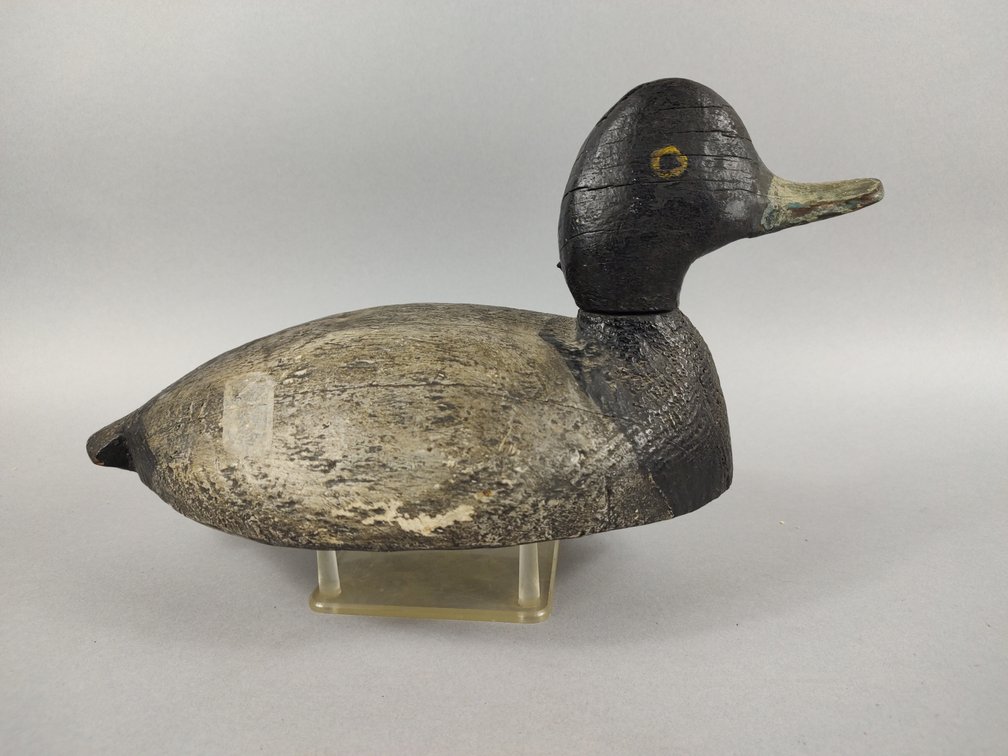 Early Crisfield Bluebill