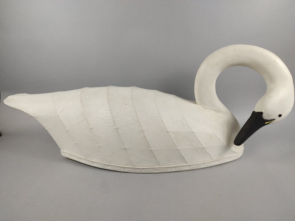 Nick Sapone Swan, Wanchese, NC