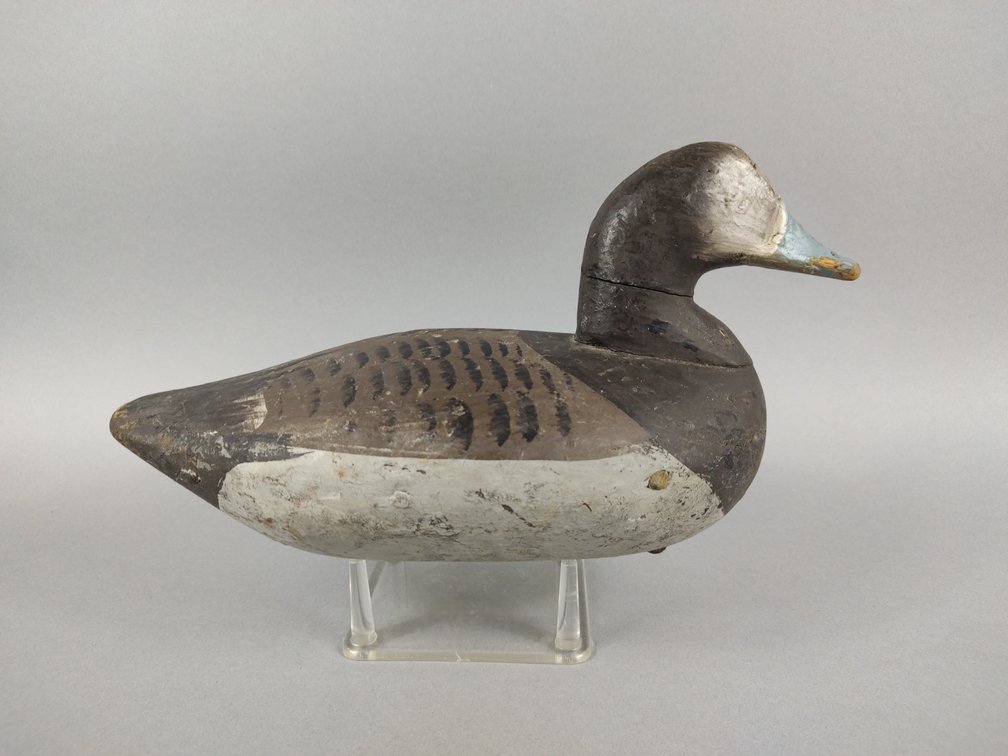 Upper Chesapeake Bay Bluebill Hen