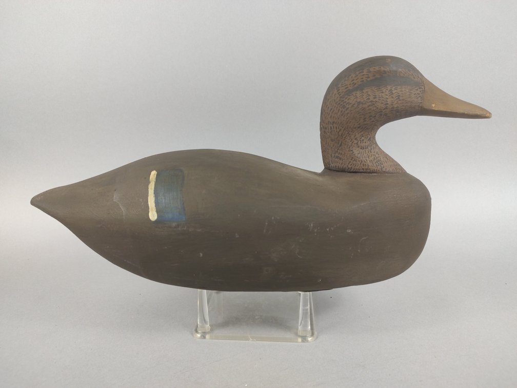 Black Duck by Unknown Maker