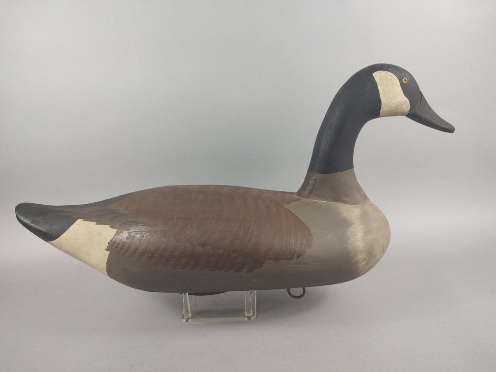 Madison Mitchell Canada Goose, Havre de Grace