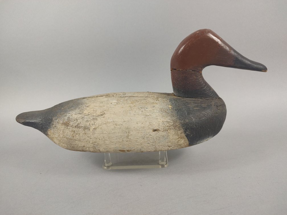 Canvasback Factory Decoy