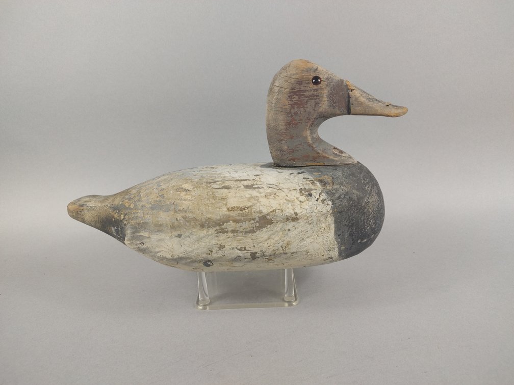 Canvasback by Unknown Maker 