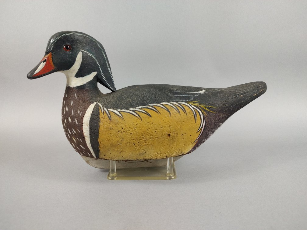 Reggie Birch Wood Duck, Chincoteague VA 