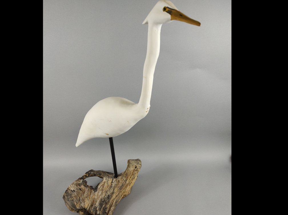 Carroll Lee Marshall Egret, Sanford VA 