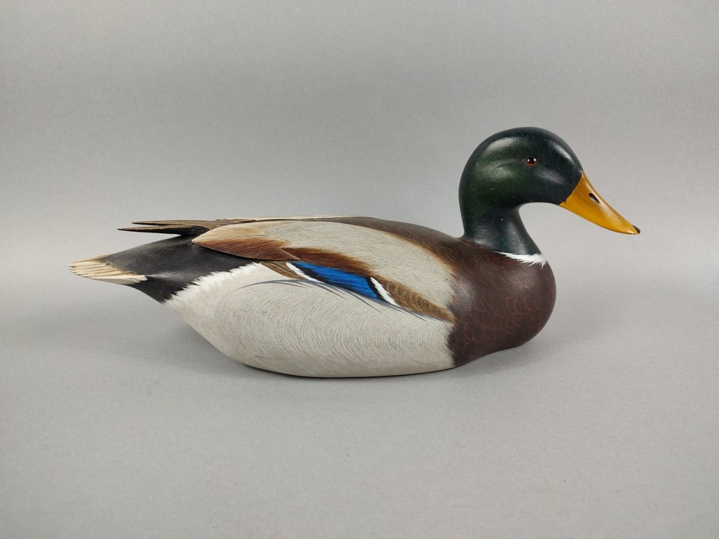 Ken Harris Mallard Woodville NY