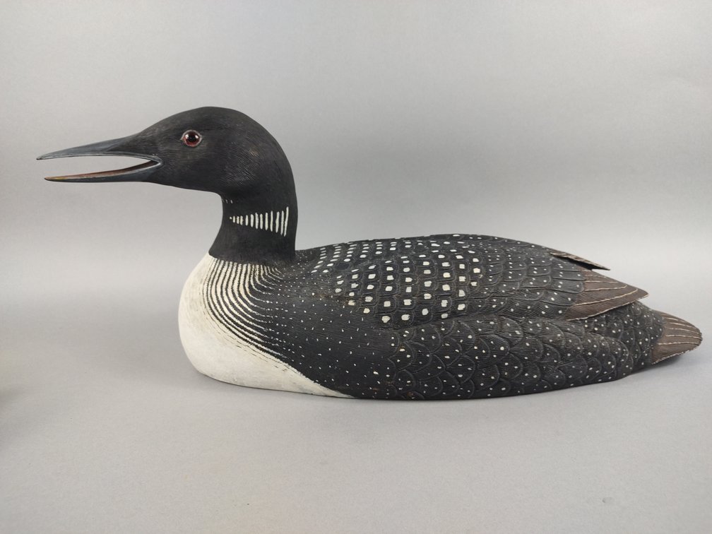 Earl Houck Loon, Lancaster, PA