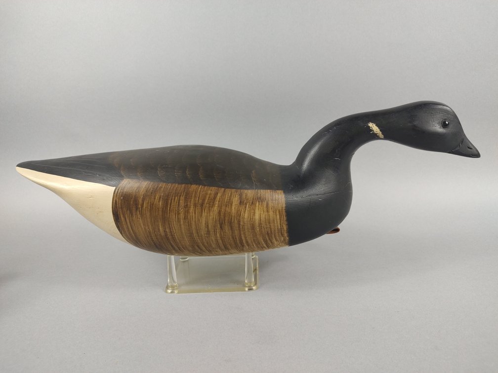 A.J. Birdsall Brant, Point Pleasant NJ 