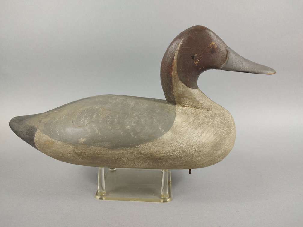 Jess Urie, Pintail. Rock Hall, MD