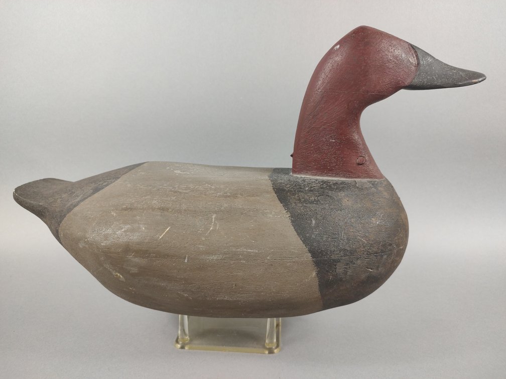 Curtis Wayne Waterfield Canvasback, Virginia Beach, VA