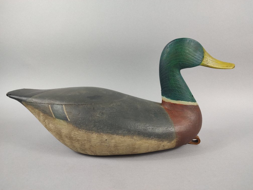 Chris Jones Mallard, Hampstead, NC