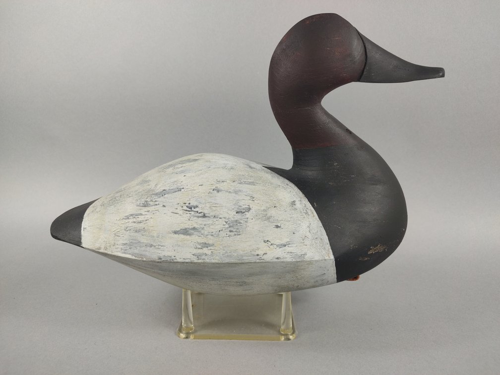 Nick Browning Canvasback 