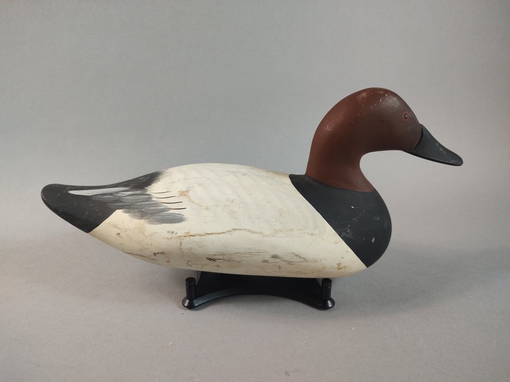Havre de Grace Canvasback 