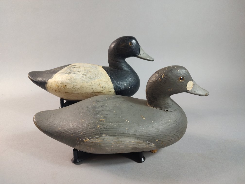 Madison Mitchell Havre de Grace MD,Bluebill Pair 