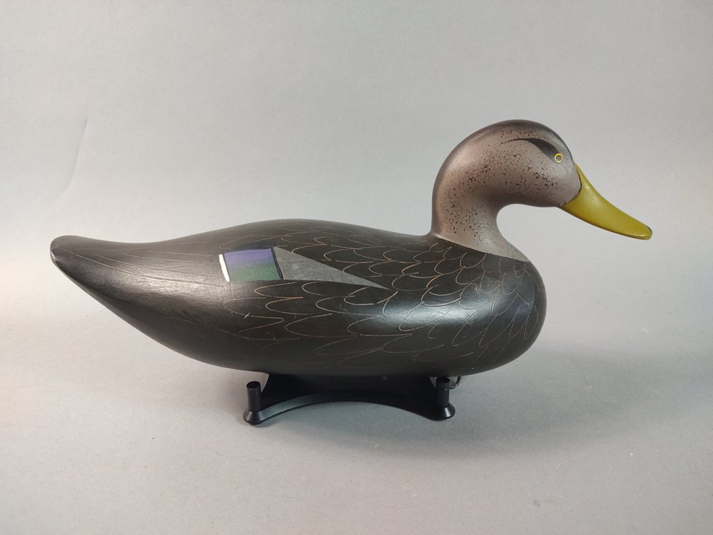 John Clark Havre de Grace MD Black Duck