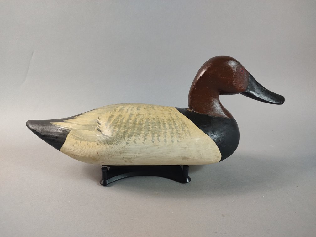 Upper Bay Canvasback