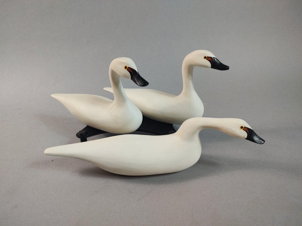 Dick Robinson Bel Air, MD Mini Swan Trio