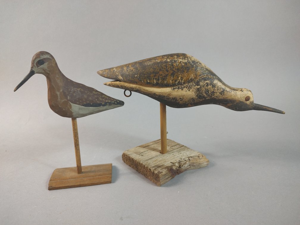 Shorebird Duo