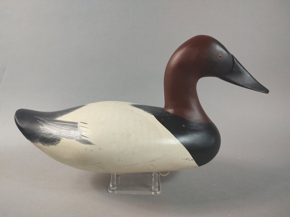 Jim Pierce, Havre de Grace MD Canvasback 