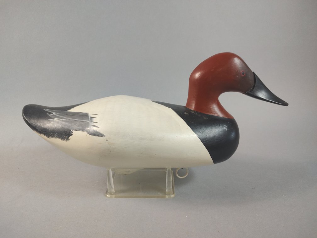 Jim Pierce Havre de Grace MD Canvasback 