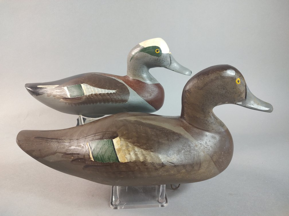 Capt. Harry Jobes Havre de Grace MD Widgeon Pair 