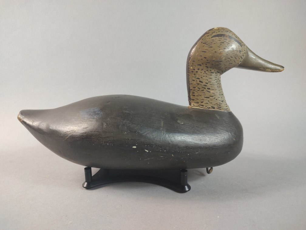 Blackduck, Unknown