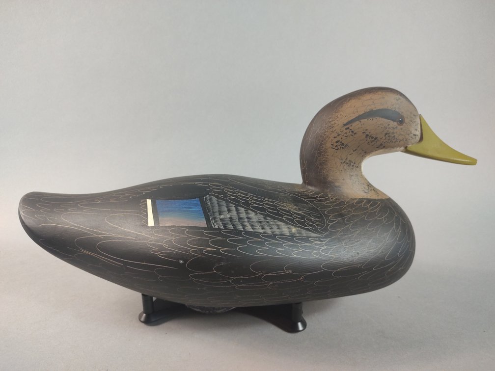 Jim Pierce Havre de Grace MD Black Duck 