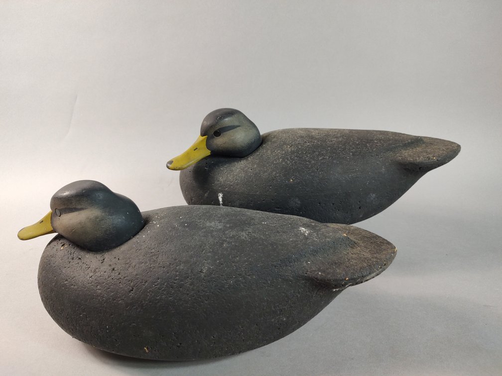 Ned Mayne Vienna, MD Black Duck Pair