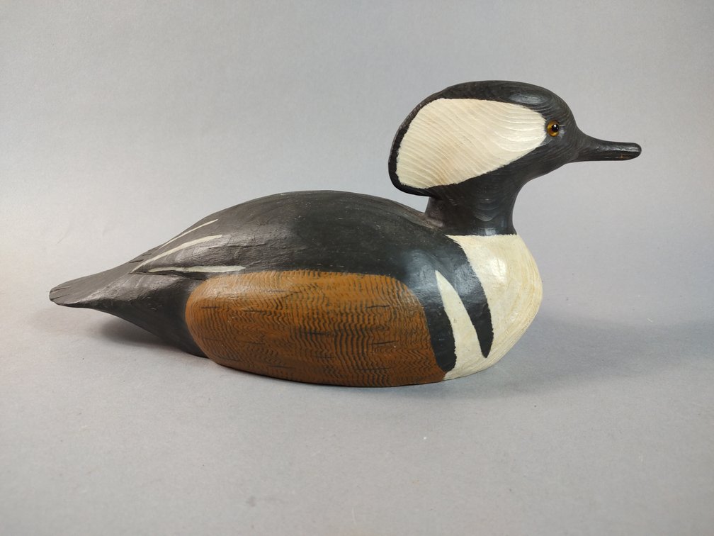 Russell Fish Chincoteague VA Merganser 